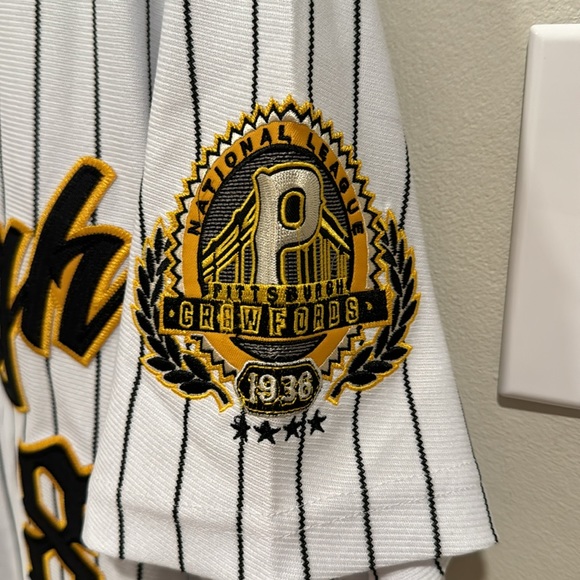 PITTSBURGH Headgear Classics Nostalgia Co. Button Down Pinstripe Jersey sz L NWT - Picture 9 of 12